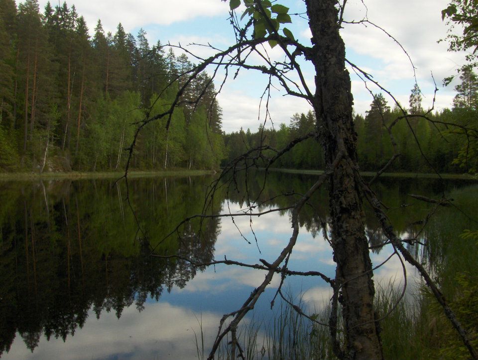 Erämaajärvi